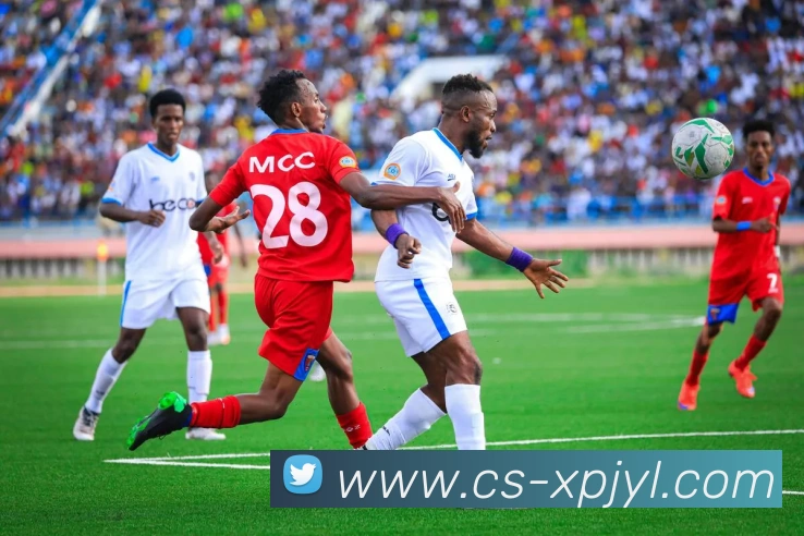 新葡京娱乐服务体系